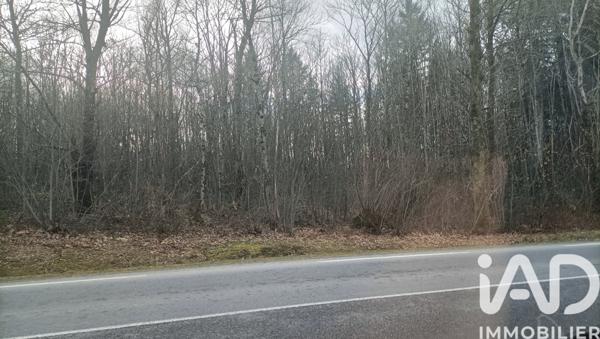 Terrain à vendre 6 456 m² Saint-Junien