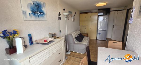 Appartement à Saint-Pierre-la-Mer BEAU T2 RENOVE VUE DEGAGEE PLACE DE PARKING