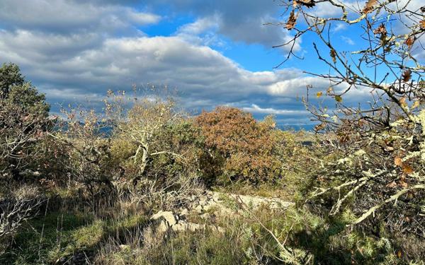 Terrain à vendre    Beaulieu