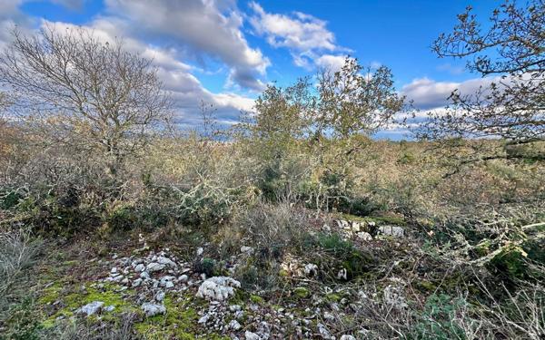 Terrain à vendre    Beaulieu
