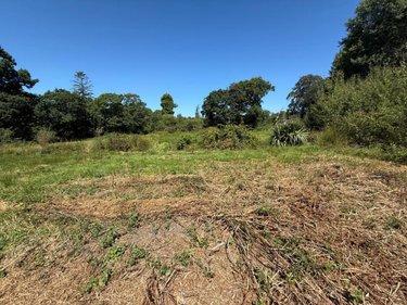 Terrain de loisirs - Bois - Etang à vendre à Martinvast dans la Manche (50690), ref : 50040-572