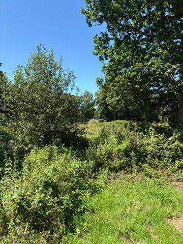 Terrain de loisirs - Bois - Etang à vendre à Martinvast dans la Manche (50690), ref : 50040-572