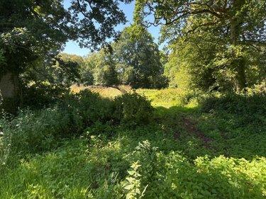 Terrain de loisirs - Bois - Etang à vendre à Martinvast dans la Manche (50690), ref : 50040-572