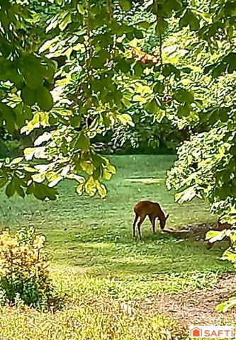 Propriété de famille 204 m2 hab, dependance, parc