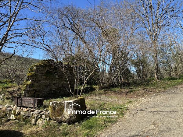 Maison en pierre avec terrain