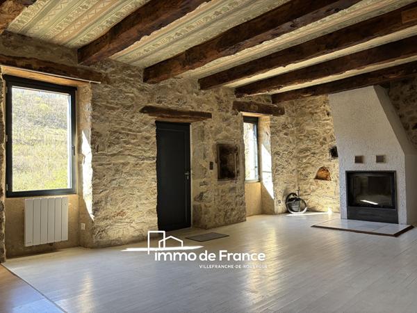 Maison en pierre avec terrain