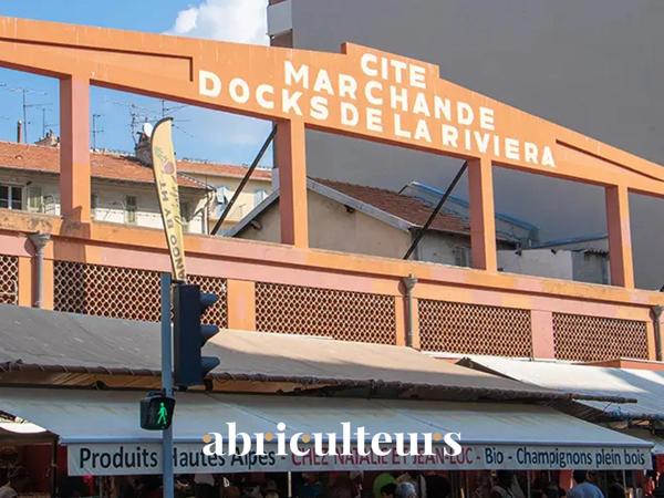 Local professionnel rénové 40 m² avec parking privé en vente au Quartier Libération à Nice (06000)