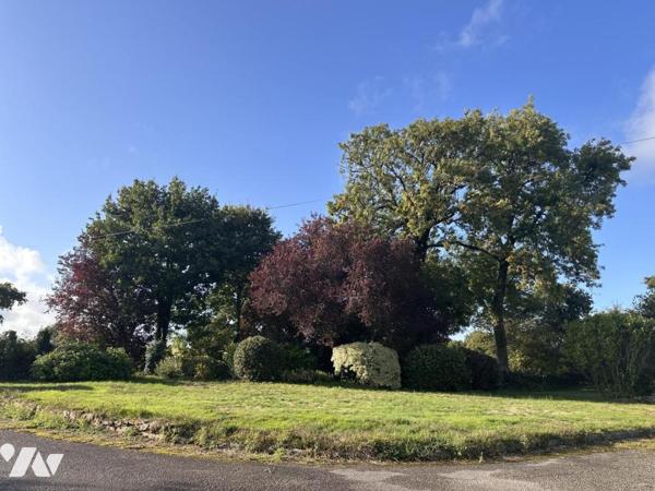 A VENDRE 56 PLOEREN, proche Vannes et Arradon, belle propriété, sur terrain 43 245 m² + hangar