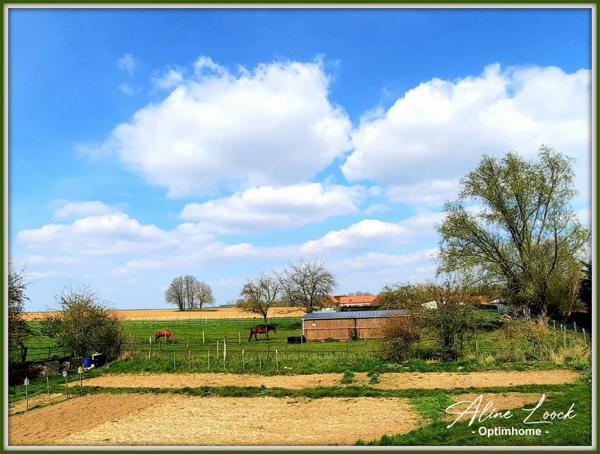 LONGERE 160 m² 4 CH GARAGE JARDIN EXPO SUD