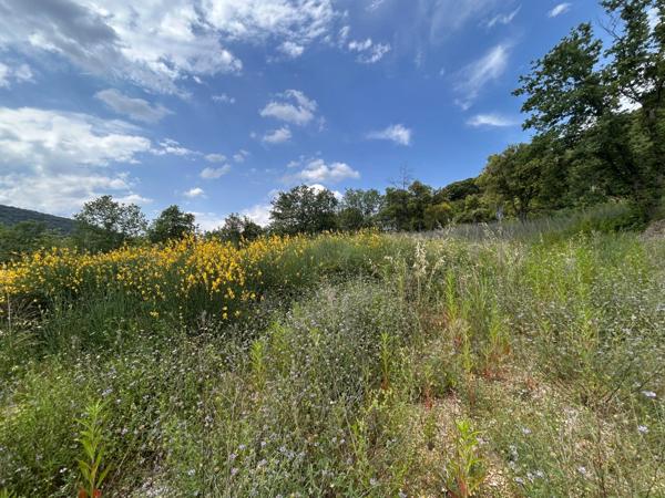 Terrain à vendre de 1 330 m². Saint-Martin-d'Ardèche (07)