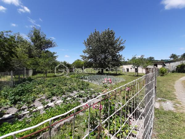 EN EXCLUSIVITE
Ensemble immobilier A Rénover à 9 minutes de Saint-Junien 87200 et à 15 minutes de Rochechouart 87600.
Composé de 5 maisons mitoyennes et indépendantes sur 2 niveaux avec 2 garages, une grange, un atelier et du terrain pour environ 2500 m².

Une maison habitable de 52 m² qui comprend 2 pièces : une pièce de vie, une chambre mansardée et en mezzanine, une kitchenette, une SDE avec toilettes. Chauffage par un insert ou électrique. DPE en D.

Une seconde maison de 84 m², qui comprend au RDC : une cuisine, 2 chambres, une SDE et des toilettes séparés. A l'étage, une chambre, des toilettes et possibilité de créer 2 pièces supplémentaires. Poêle à bois dans la cuisine; huisseries simple vitrage, volets PVC. Habitable puis A Rénover. DPE en F.

Les 3 autres maisons seront à réhabiliter entièrement. Emprise au sol de 42 m², 30 m² et 25 m². Dispensées de DPE.
Se trouve en face : un hangar de 70 m² pouvant abriter 2 véhicules, un second garage avec petite dépendance attenante, un atelier de 40 m² puis une grange de 44 m² avec hauteur sous plafond de 3.75 mètres.

Possibilité de créer des lots et d'acquérir plus de terrain.