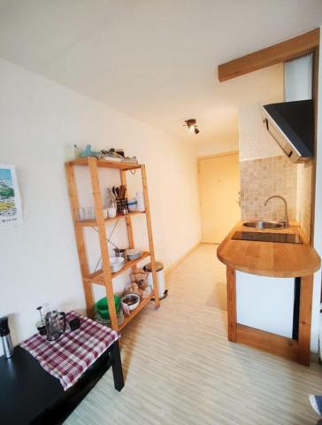 Appartement Grenoble 1 pièce(s) 18 m2
