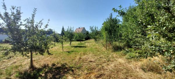 Beau terrain plat à bâtir de 8.6 ares à Dimbsthal