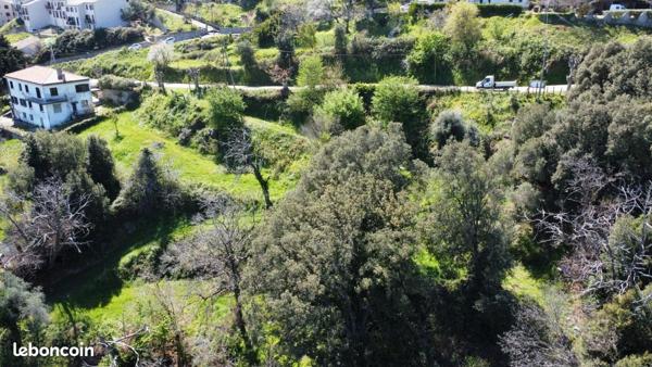 Cervione (20221) Terrain constructible de 3435m2 sur Cervione