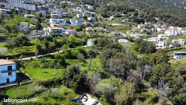 Cervione (20221) Terrain constructible de 3435m2 sur Cervione