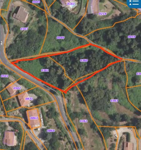Cervione (20221) Terrain constructible de 3435m2 sur Cervione