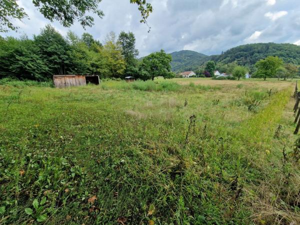 Propriete à vendre proche LURE (70) FERME T7 RENOVEE avec DEPENDANCES