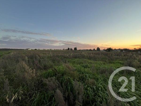 Terrain à vendre  1579 m2 GREZAC - 17