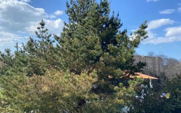 Maison à vendre    4 pièces •  Bayonne