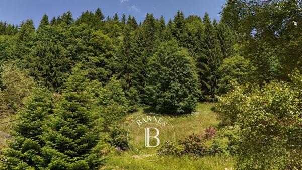 Saint-Julien-en-Genevois, Maison 4 Chambres -  169 m² à vendre