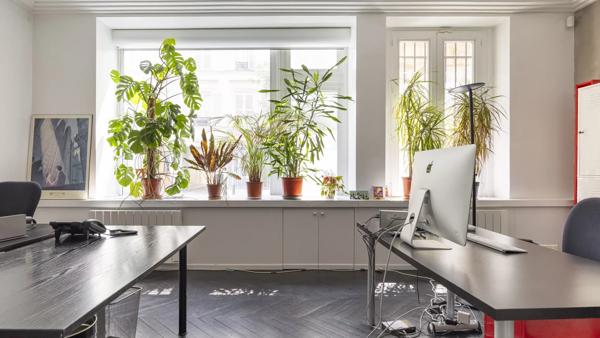 Bureau Paris 16e - JASMIN