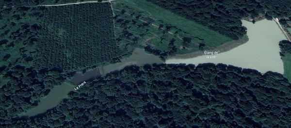 Lepuix-neuf, terrain d'environ 4 hectares comprenant 4 étangs.