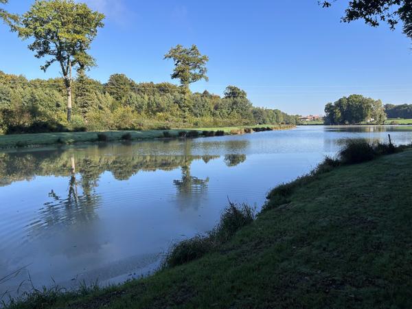 Lepuix-neuf, terrain d'environ 4 hectares comprenant 4 étangs.