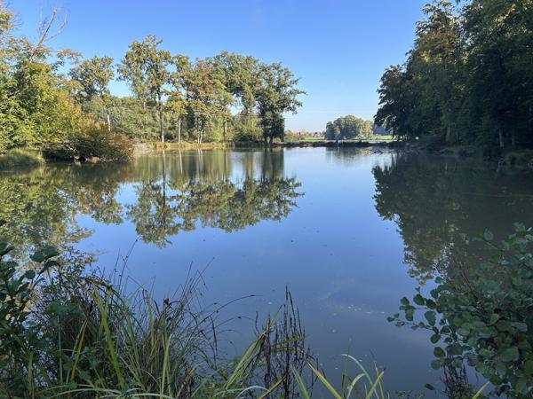 Lepuix-neuf, terrain d'environ 4 hectares comprenant 4 étangs.