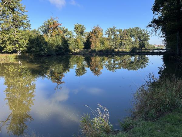 Lepuix-neuf, terrain d'environ 4 hectares comprenant 4 étangs.