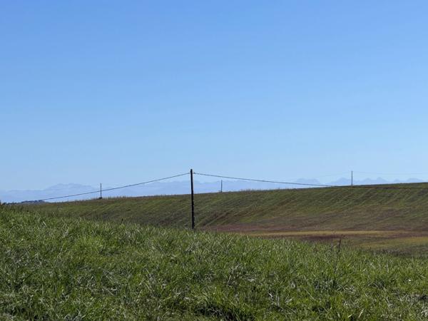 À VENDRE – Terres agricoles et parcelles boisées – 49 ha – Bassoues/Gers