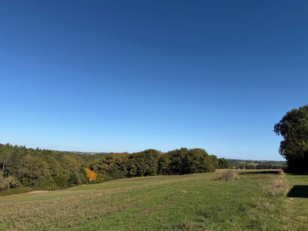 À VENDRE – Terres agricoles et parcelles boisées – 49 ha – Bassoues/Gers