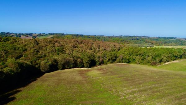 À VENDRE – Terres agricoles et parcelles boisées – 49 ha – Bassoues/Gers