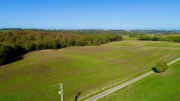 À VENDRE – Terres agricoles et parcelles boisées – 49 ha – Bassoues/Gers