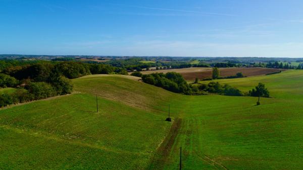 À VENDRE – Terres agricoles et parcelles boisées – 49 ha – Bassoues/Gers