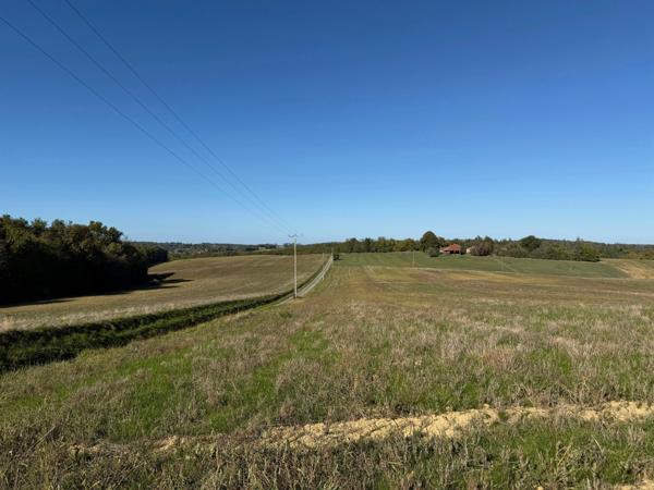 À VENDRE – Terres agricoles et parcelles boisées – 49 ha – Bassoues/Gers