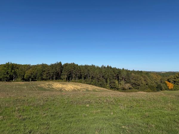 À VENDRE – Terres agricoles et parcelles boisées – 49 ha – Bassoues/Gers