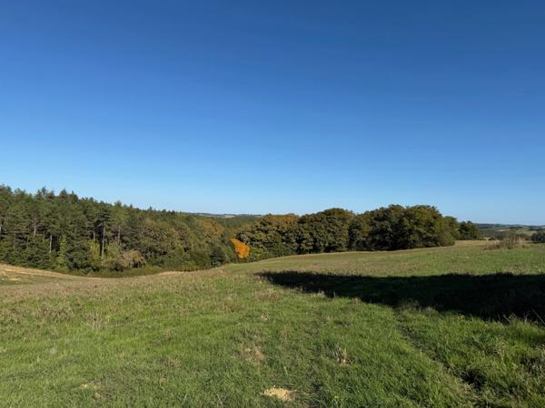 À VENDRE – Terres agricoles et parcelles boisées – 49 ha – Bassoues/Gers