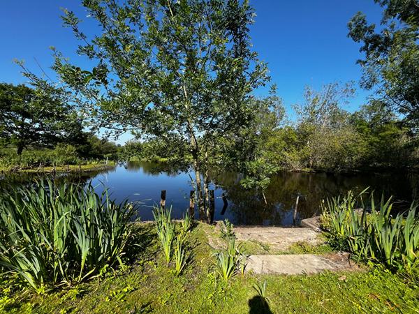 Terrain constructible 1060 m² sur Saint-Joachim