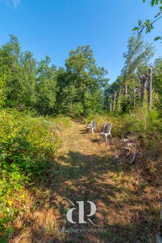 Lavit (82120) Paradis des jardiniers plus piscine, intimité et confort de vie