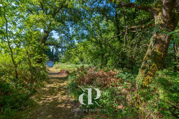 Lavit (82120) Paradis des jardiniers plus piscine, intimité et confort de vie