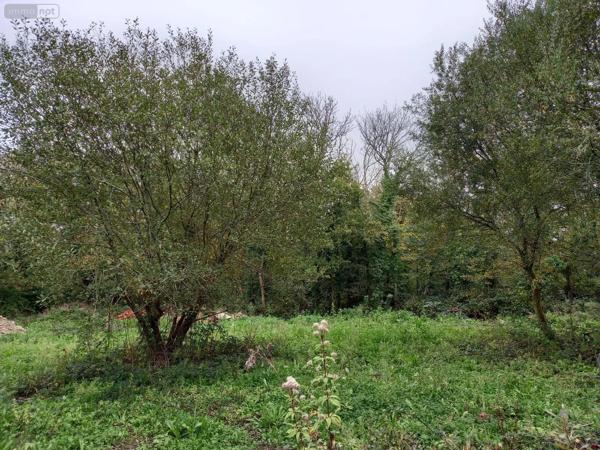 Achat - Maison Crozon 29160 4 pièces 85 m 2 2411 m 2