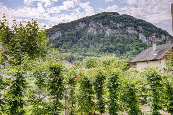 À VENDRE - Charmant appartement T2 proximité centre de La Balme-de-Sillingy - Place de parking privative, box