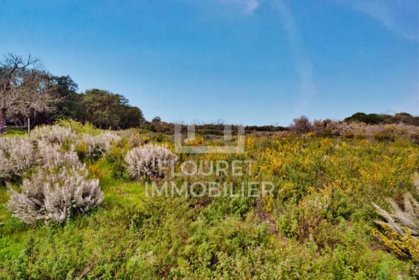 Mas Catalan sur +3 ha entre mer et montagnes