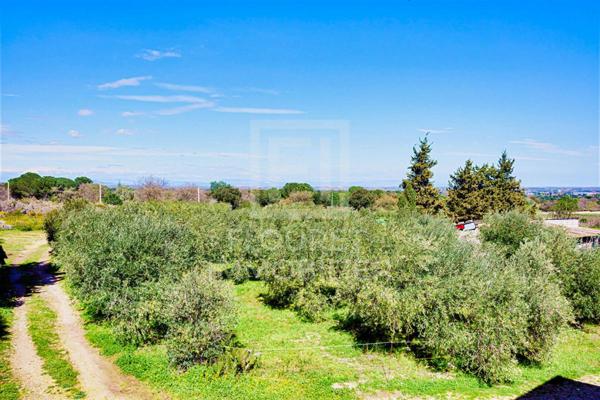 Mas Catalan sur +3 ha entre mer et montagnes