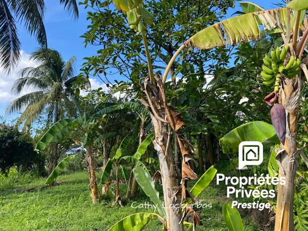 Rare ! Propriété à Deshaies avec grand jardin et vue mer