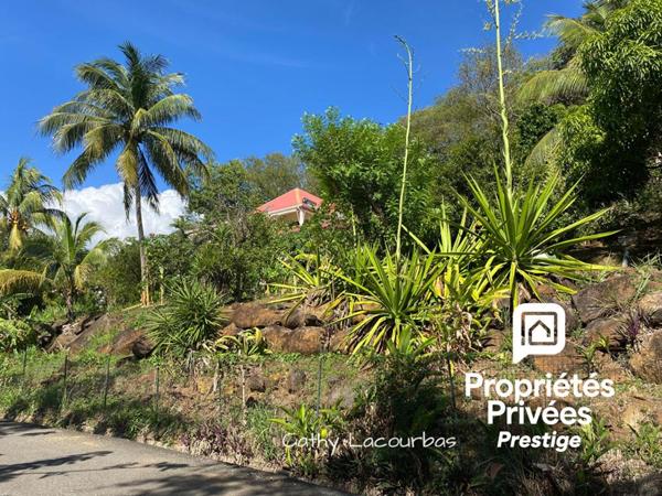 Rare ! Propriété à Deshaies avec grand jardin et vue mer