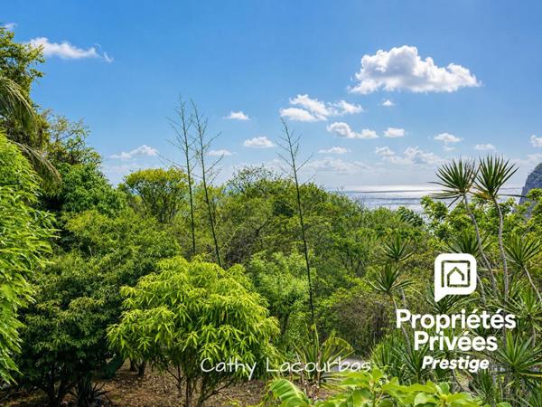Rare ! Propriété à Deshaies avec grand jardin et vue mer