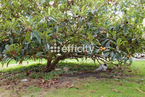 Maison 6 pièces - 178 m²