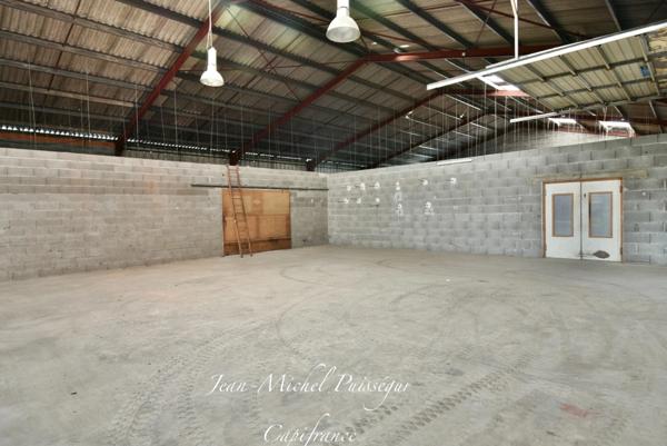 Entrepôts & Bureaux à louer SAINT GAUDENS (31) 780m2