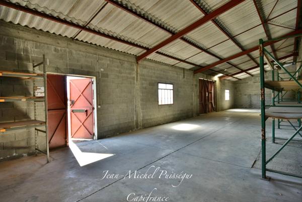 Entrepôts & Bureaux à louer SAINT GAUDENS (31) 780m2